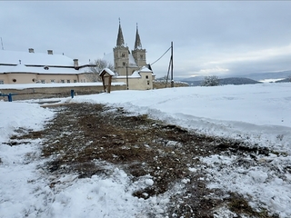 Pažica