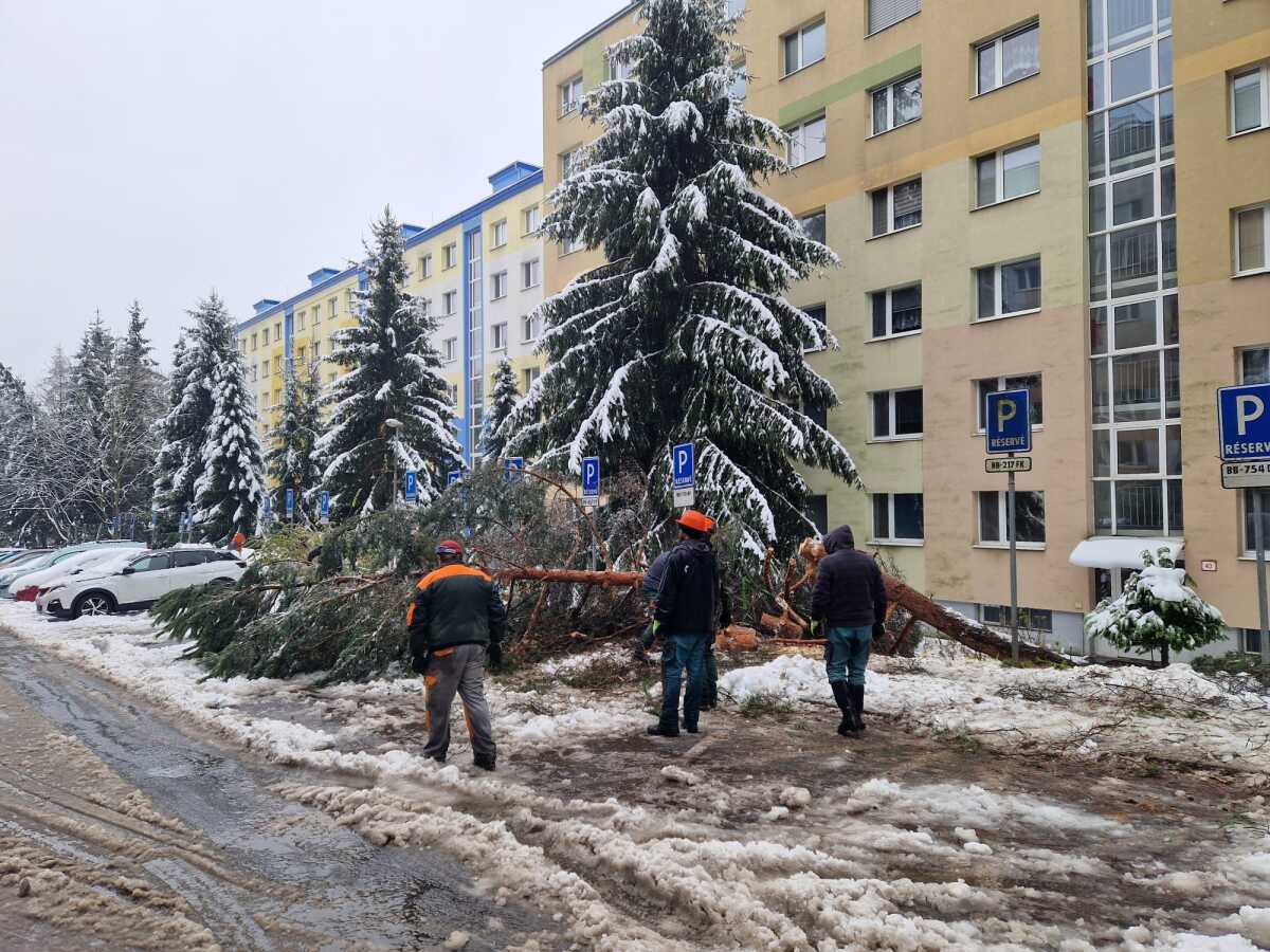 Banská Bystrica počasie stromy hasiči