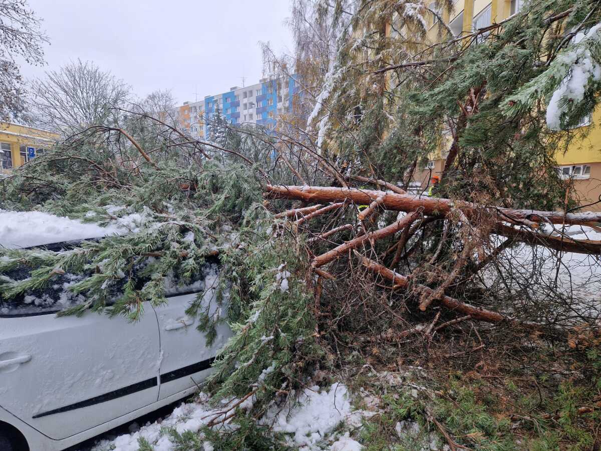 Banská Bystrica počasie stromy hasiči