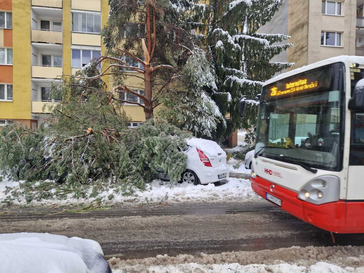 Banská Bystrica počasie stromy hasiči