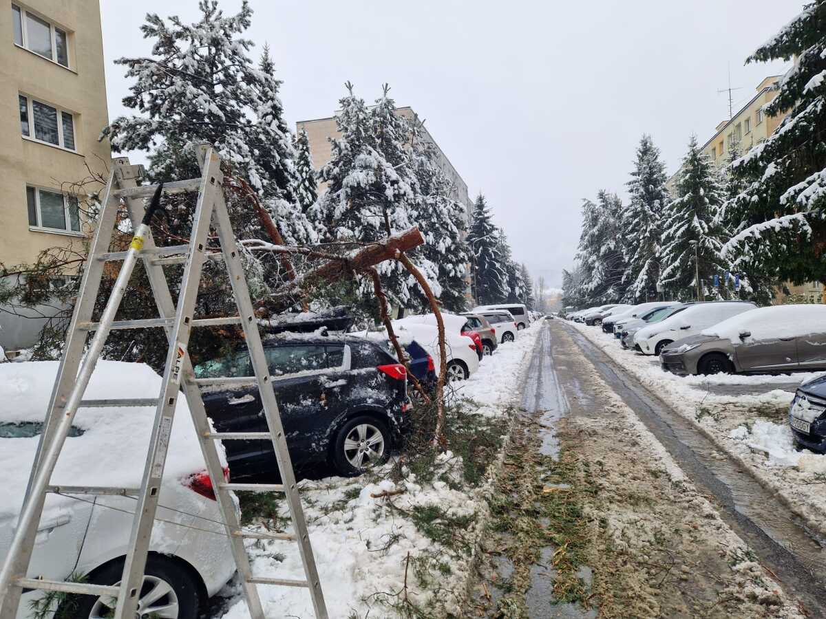 Banská Bystrica počasie stromy hasiči