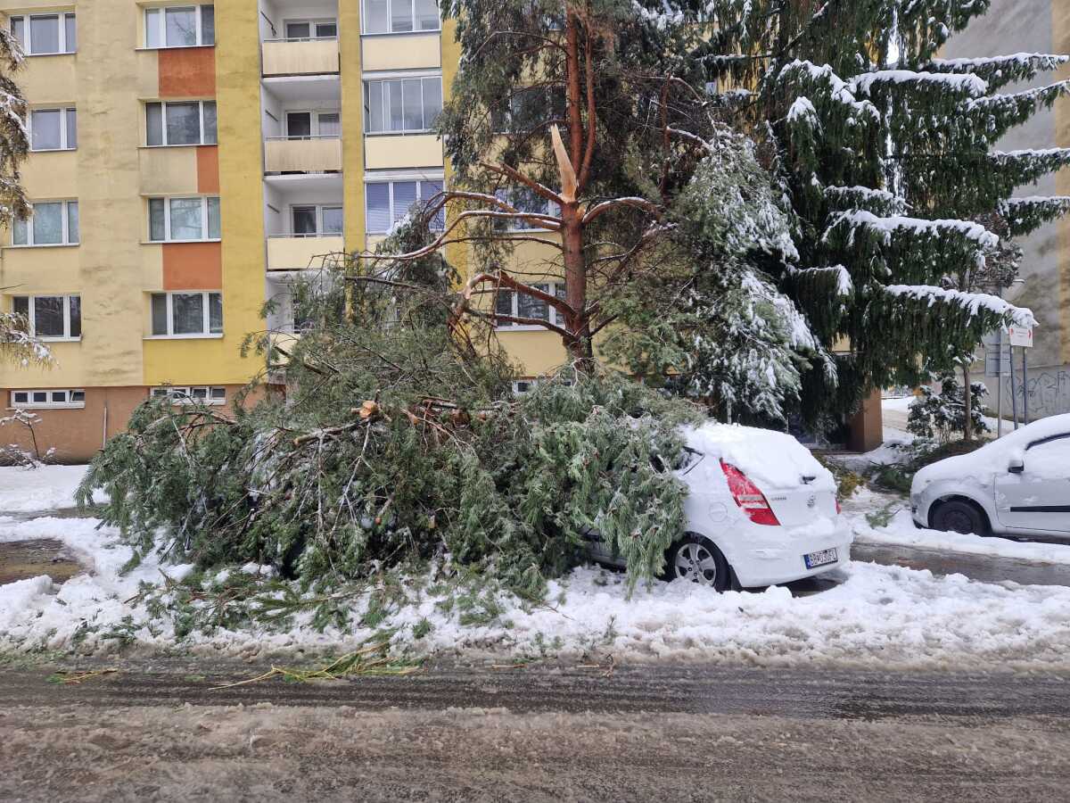 Banská Bystrica počasie stromy hasiči