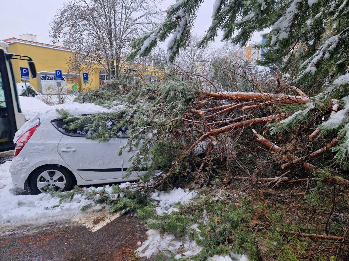 Banská Bystrica počasie stromy hasiči