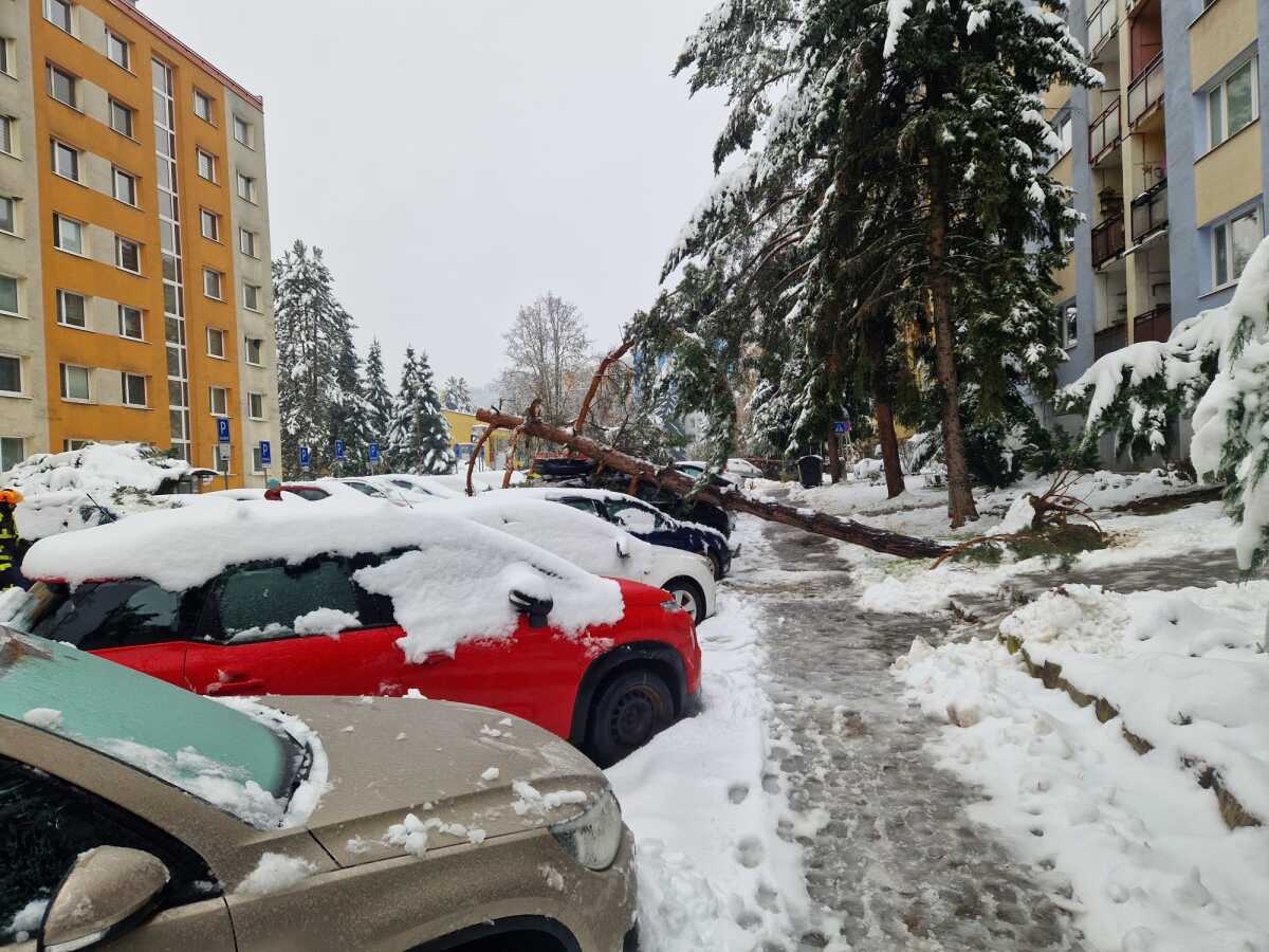 Banská Bystrica počasie stromy hasiči