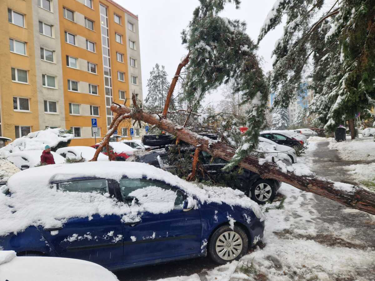 Banská Bystrica počasie stromy hasiči
