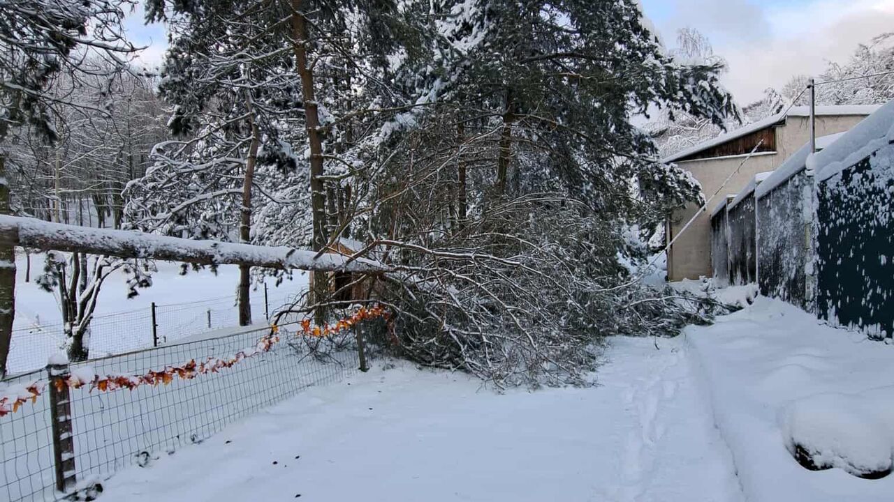 sneh ZOO Košice počasie