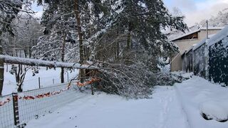 sneh ZOO Košice počasie
