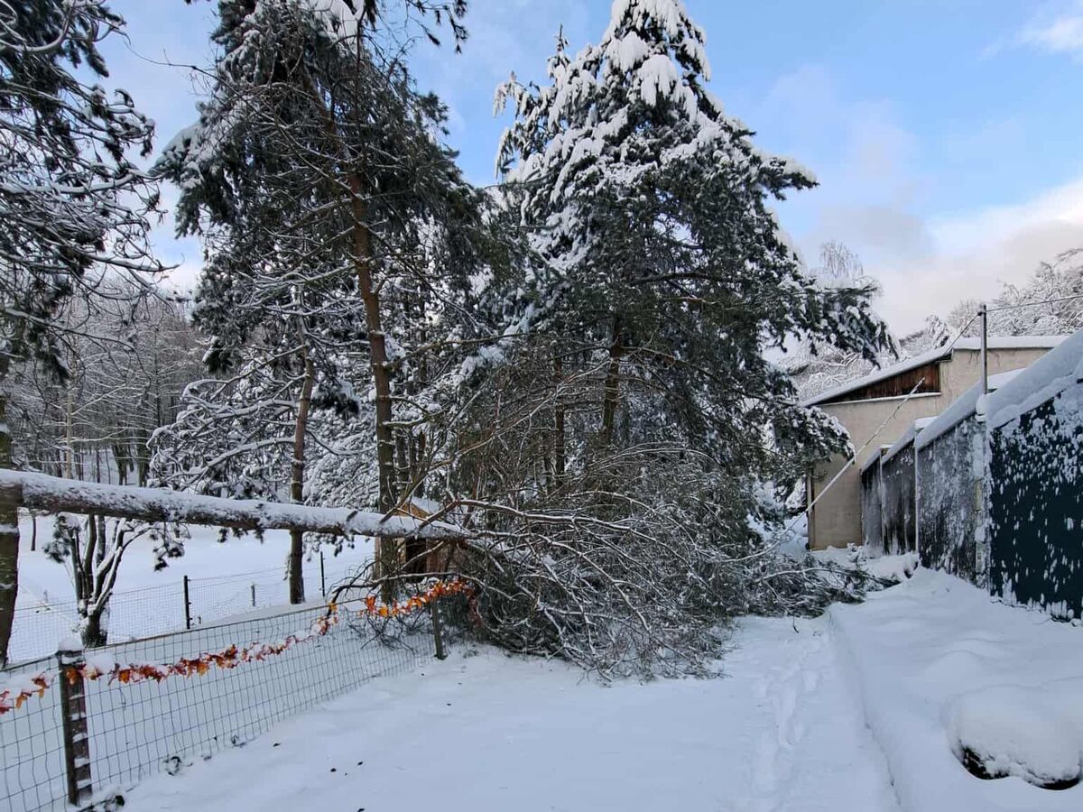 sneh ZOO Košice počasie