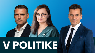 V POLITIKE Taraba Mesterová