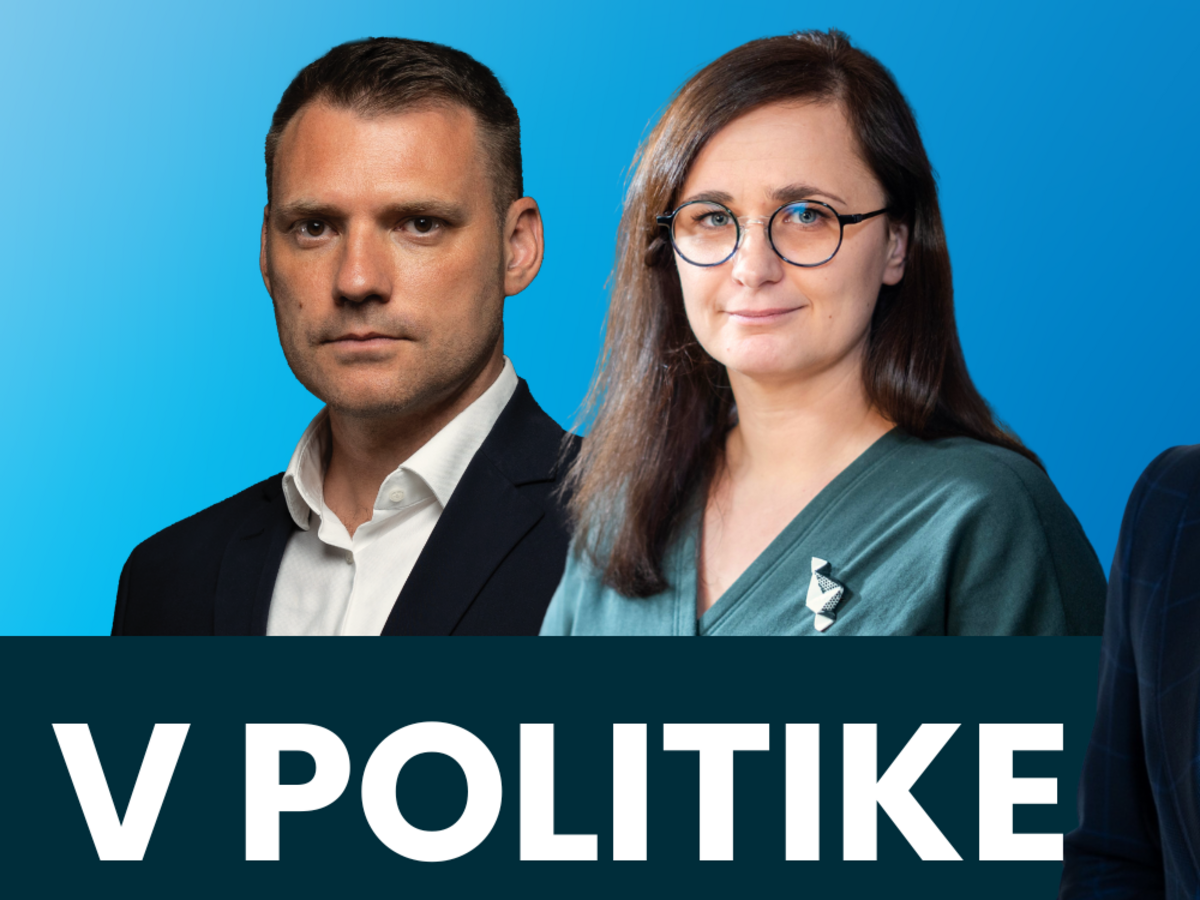 V POLITIKE Taraba Mesterová