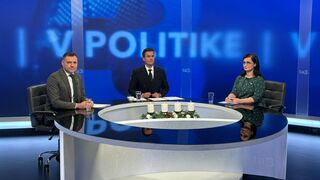 Taraba Mesterová V politike