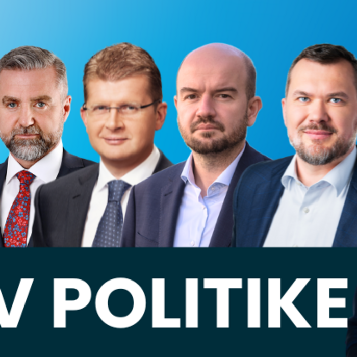 V politike