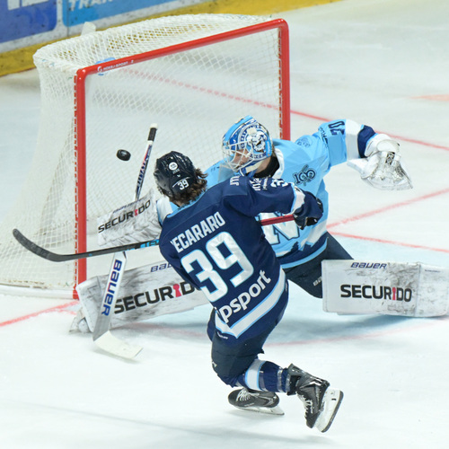 slovan nitra hokej