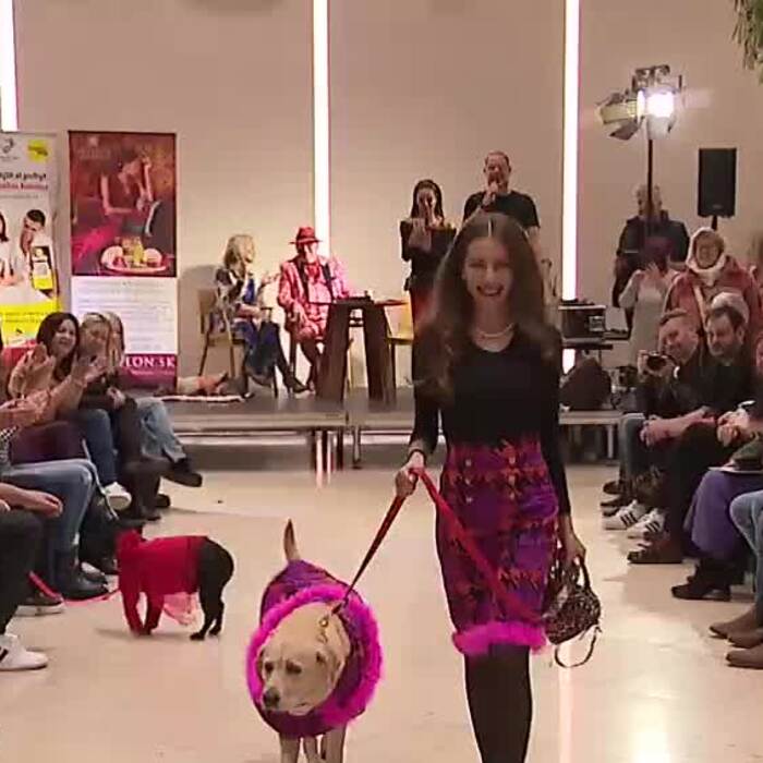 3-SHOW-LABKY-NA-MOLE