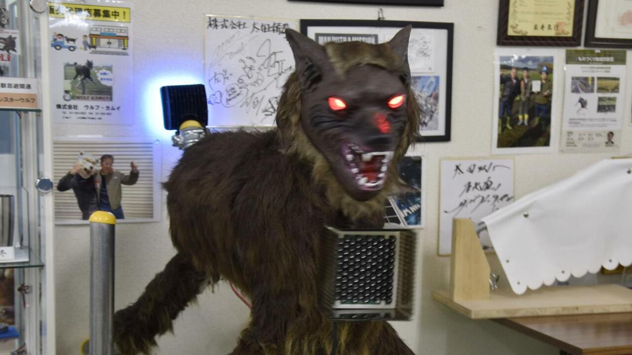 Japonsko Monster Wolf