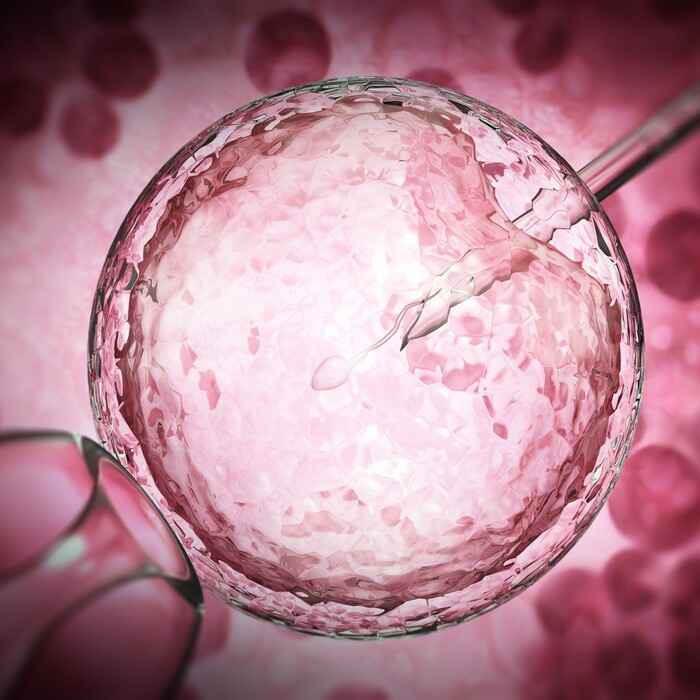 spermie vajíčko oplodnenie