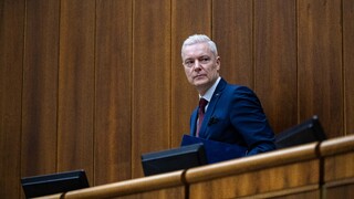 Pre Ferenčáka v koalícii nezostalo miesto. Politológ: Anomália, že ostáva v strane. Je z neho Čierny Peter 