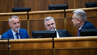 Koalícia schválila novelou Trestného zákona zmeny pri kajúcnikoch aj nové trestné činy. Pred hlasovaním sa strhla bitka