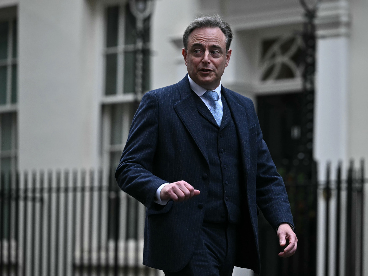 de wever.jpg