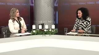 Čo tento rok spravili politici pre ľudí