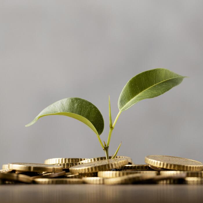 front-view-plant-growing-from-golden-coins.jpg