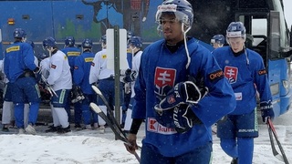 dvadsiatka Hokej-MS20 murín