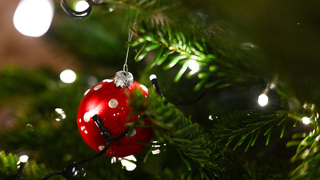 Bolesti brucha, alkohol či kosť v hrdle. Na Štedrý deň ošetrili v bratislavskej nemocnici takmer 350 pacientov