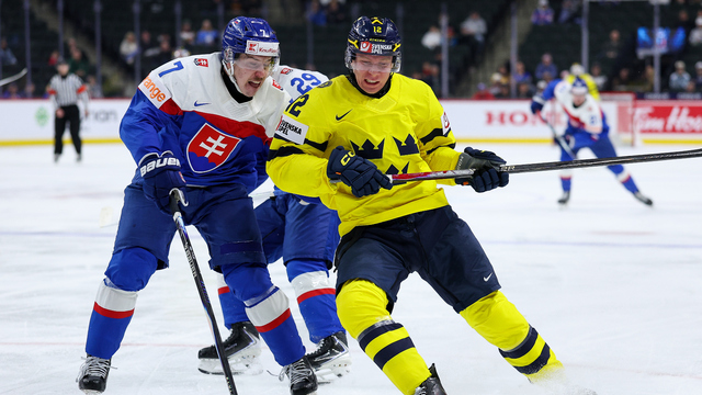 MS Slovensko Švédsko