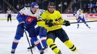 MS Slovensko Švédsko