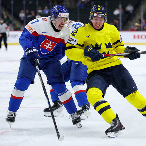 MS Slovensko Švédsko