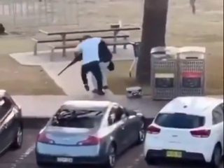 Ahmed al Ahmed, záber z videa z Bondi Beach