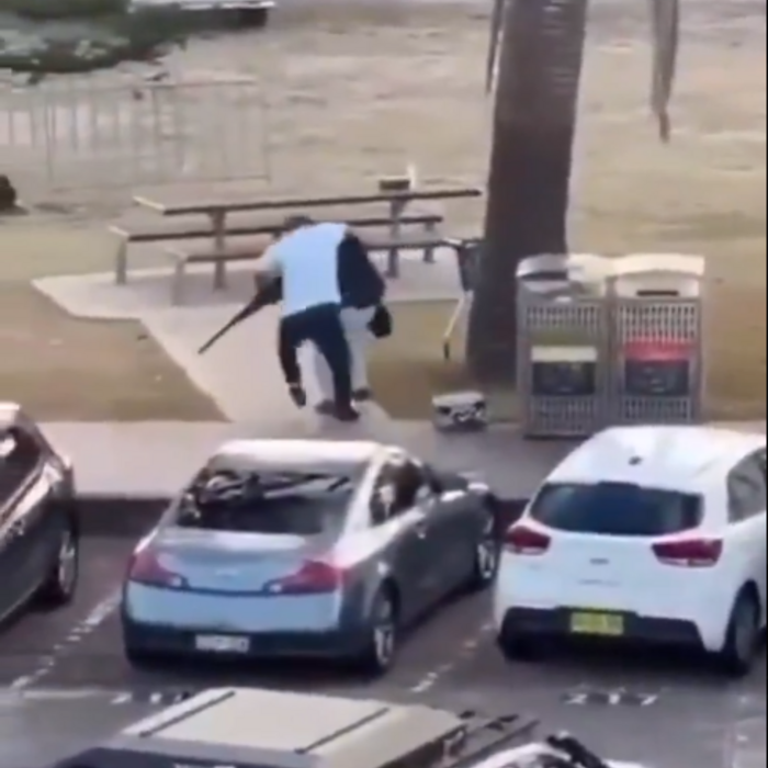 Ahmed al Ahmed, záber z videa z Bondi Beach