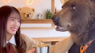 medvedia kaviareň ai.png