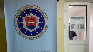 Cudzinecká polícia Snina