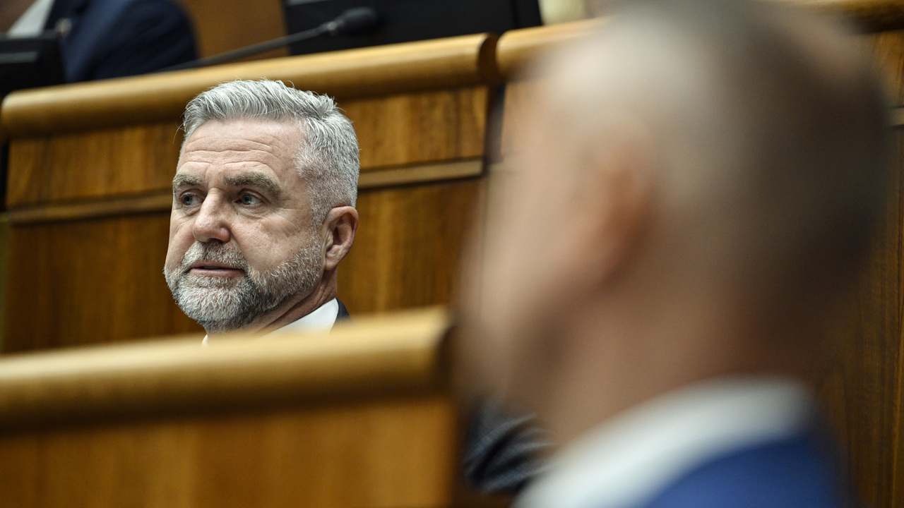 Marta Šimečková mohla byť v kauze dotácií zneužitá, hovorí Gašpar. Naznačil, že za účtovníctvom stoja iní ľudia