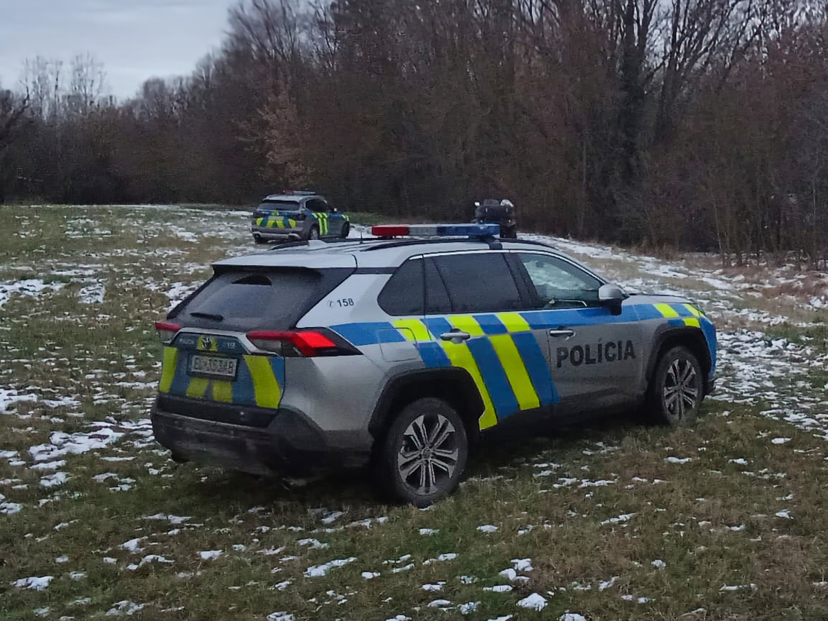 polícia policajti