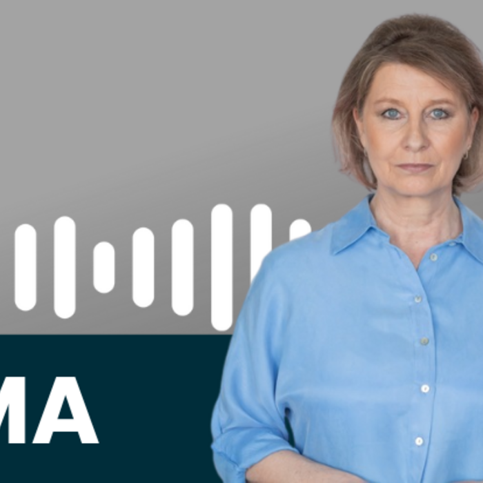 Podcast Téma Dňa (5).png