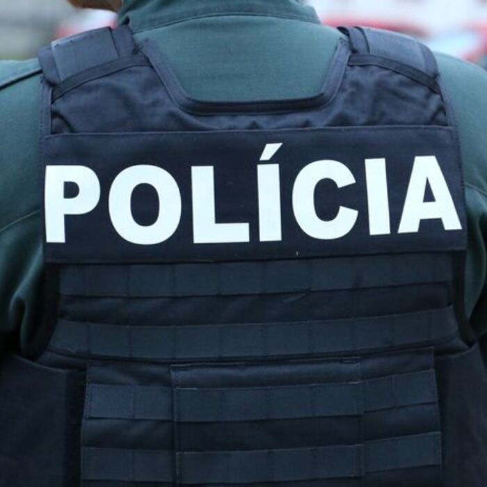 polícia policajt
