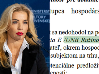 šimkovičová chyba v dokumentácii.jpg