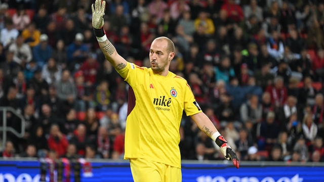 Milan Borjan