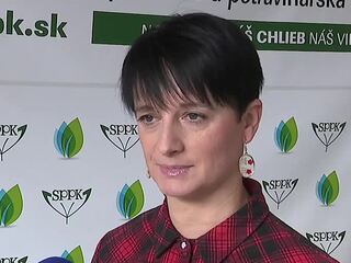 ROZHOVOR-HOLECIOVA-MERCOSUR