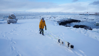 Šikovnejší ako Briti? Grónsko plánuje rozchod s Dánskom bez chaosu, brzdou sú však miliónové dotácie a Trump