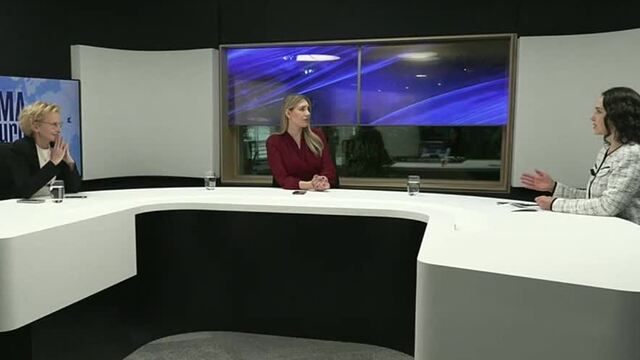 TEMA-Z-EUROPARLAMENTU-LEXMANN-KONECNA