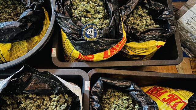 drogy Pezinok marihuana