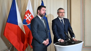 Slovensko a Česko majú v poľnohospodárstve rovnaký problém. V Bruseli budú bojovať spoločne