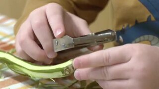 Technické škôlky zo Slovenska sa rozširujú do Česka.  Takto vyzerá obojstranná spolupráca v praxi