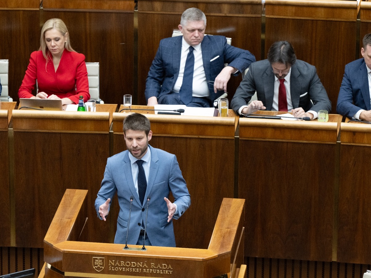 Šimečka, Fico