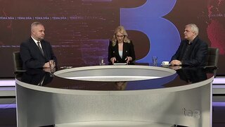 Náhubok či cesta k slušnosti? / Veľký biely kôň a malý somárik