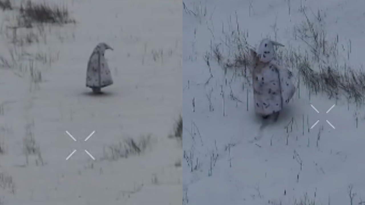 tučniak ruský vojak