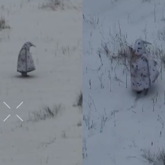 tučniak ruský vojak